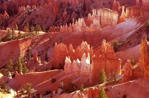 backlit hoodoo formation seems almost on fire at Bryce Canyon National Park in Utah in September 2001