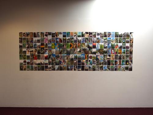 wall collage of donated photos on display at Goucher College near Baltimore, Maryland