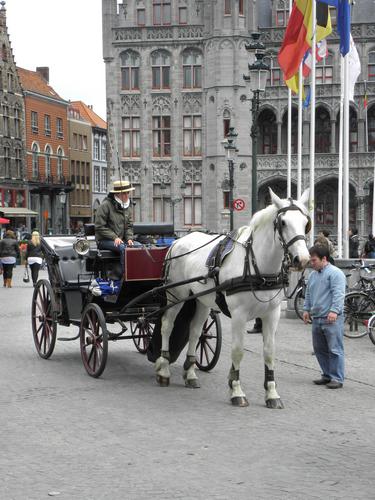 horse-and-carriage at Bruges in Belgium