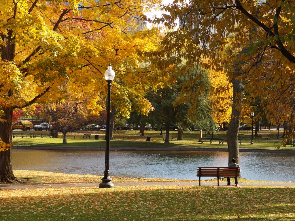 the Boston Garden is serene and colorful in late-fall foliage