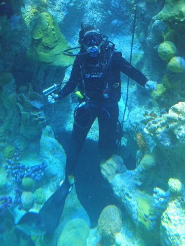 diver with a video camera at the bottom of the huge central tank at the New England Aquarium in Boston