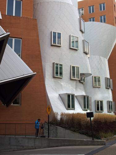 the Stata Center modern-art building of MIT at Cambridge in Massachusetts