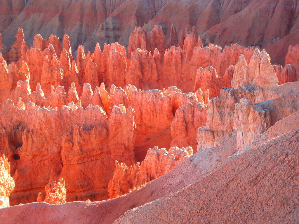 late-afternoon sun turns the rock formations on fire at Bryce Canyon National Park in Utah