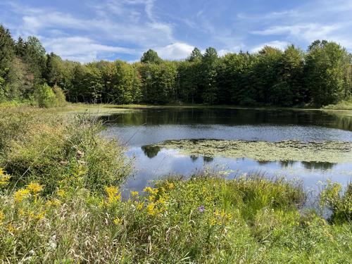 Ross Pond in September at Zoar Valley near Buffalo, NY