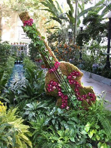 orchid-adorned bass violin statue inside the Conservatory of the United States Botanic Garden at the National Mall in Washington DC