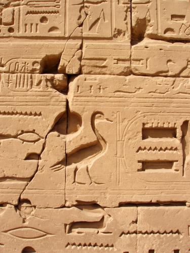 hieroglyphs carved into the walls of Karnak Temple in Egypt