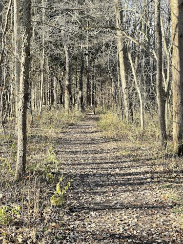 trail in November at Iroquois National Wildlife Refuge in western New York