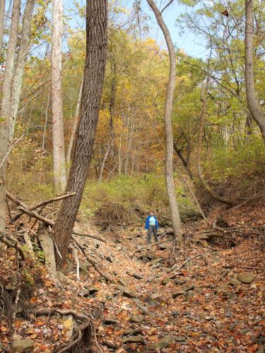 Andee stands in the dry gully in October at Tanglewood Nature Center near Elmira, New York