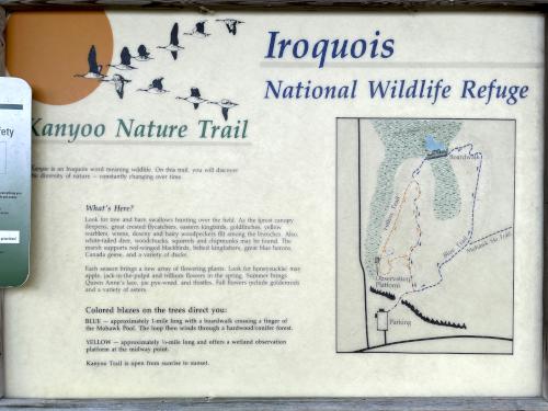 Kanyoo Nature Trail map at Iroquois National Wildlife Refuge in western New York