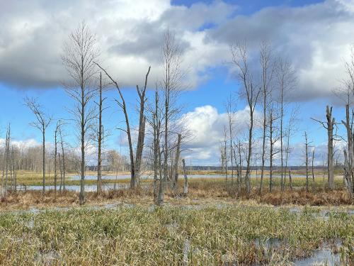 open view in November at Iroquois National Wildlife Refuge in western New York