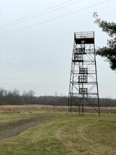 Bird Tower in December at Oak Orchard WMA near Elmira, New York