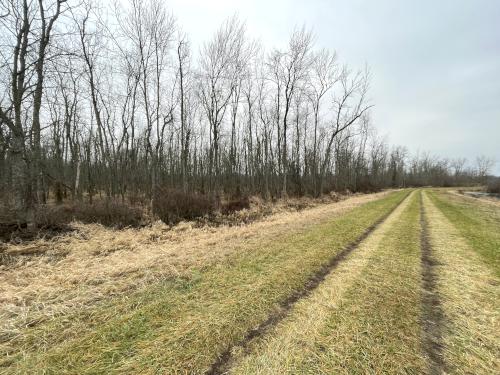 trail in December at Oak Orchard WMA near Elmira, New York