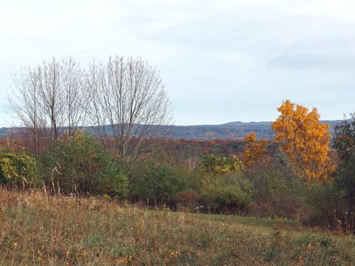 view east at Tanglewood Nature Center near Elmira, New York