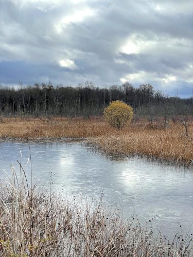wetland in November at Iroquois National Wildlife Refuge in western New York