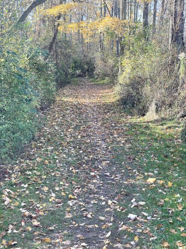 trail in October at Golden Hill State Park near Barker in western NY