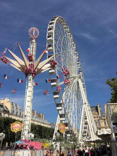 Giant Ferris Wheel in Paris, France