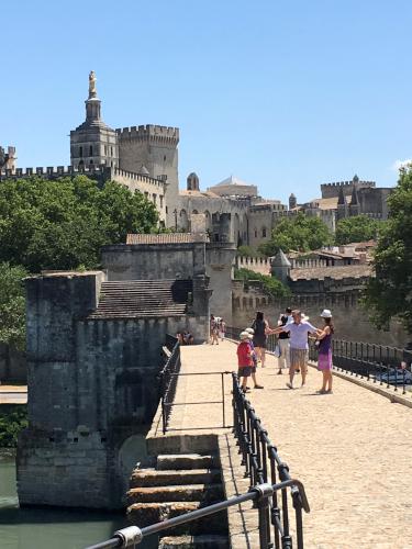 view of the Papal Palace from the invomplete bridge at Avignon in France