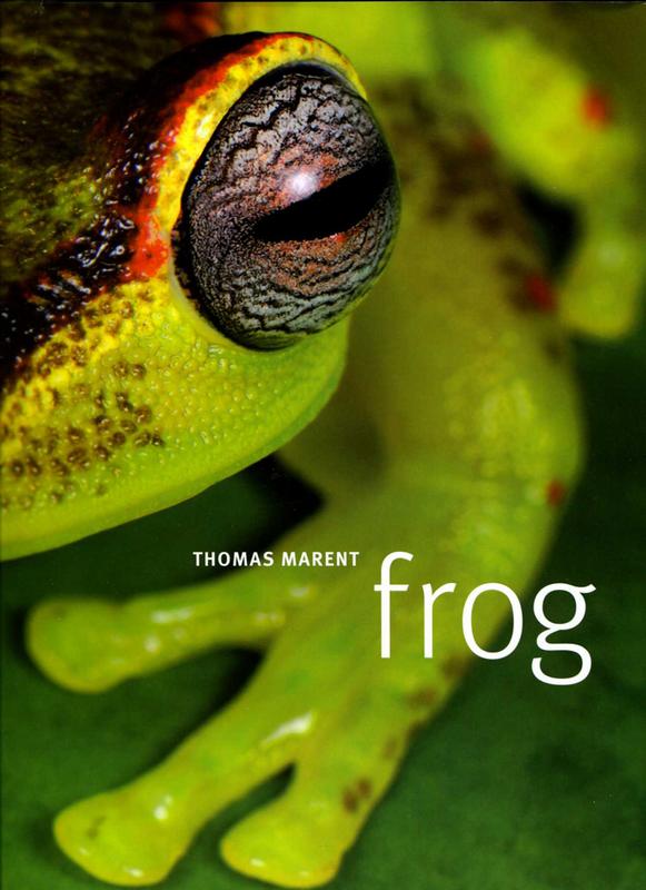 frog book