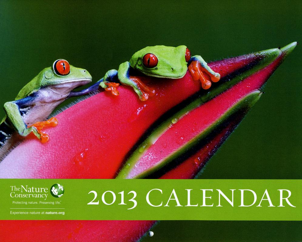 2012 calendar frogs