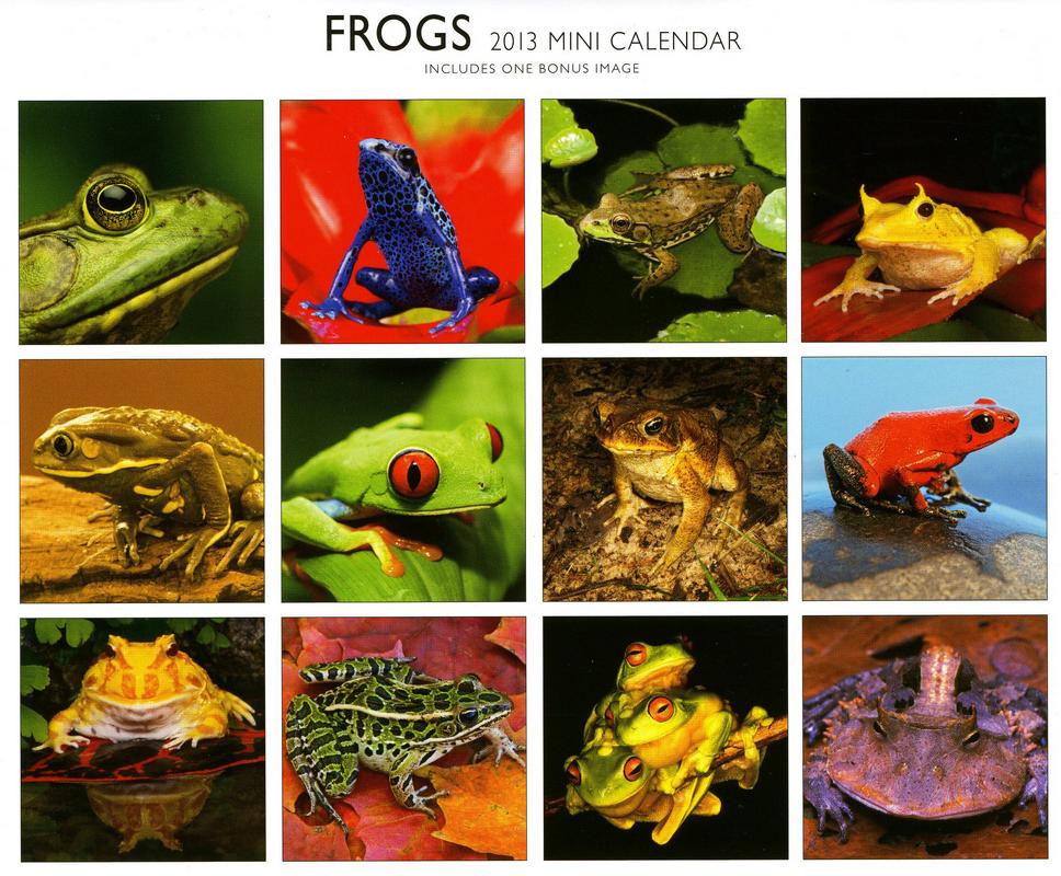 frog calendar