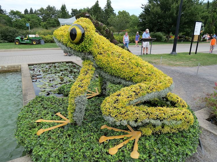 mosaiculture frog