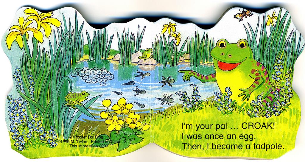 pocket frog book