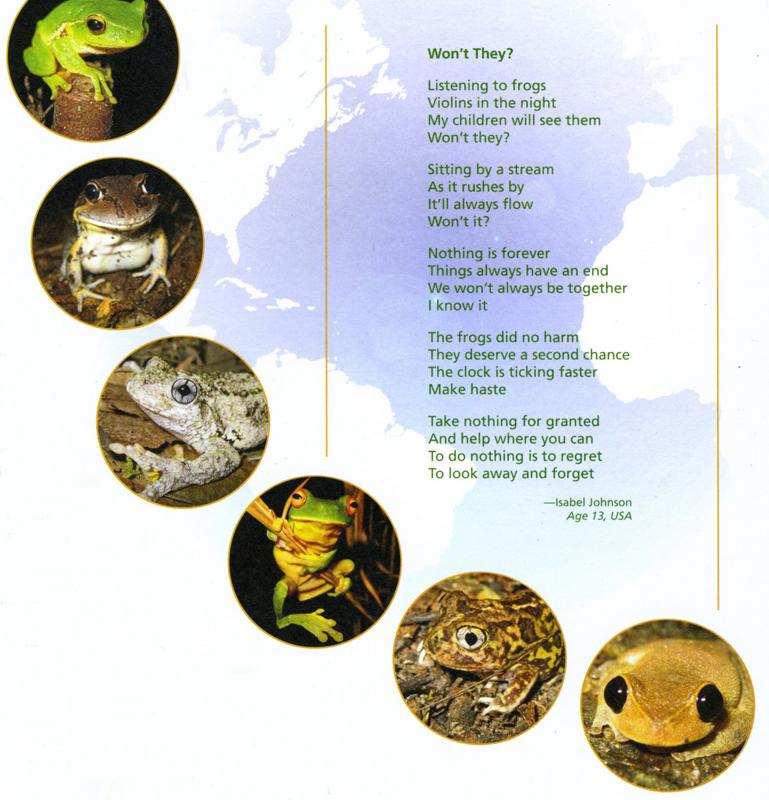 Save the Frogs magazine article