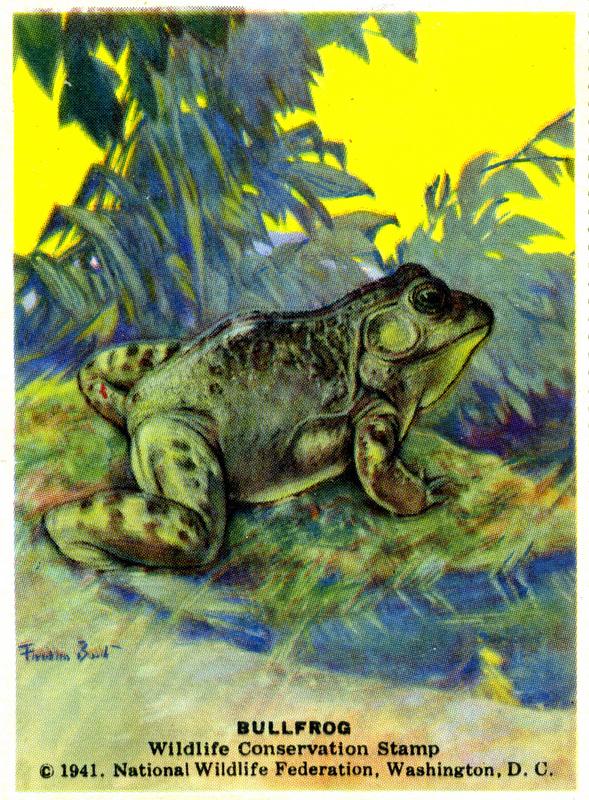 1941 Bullfrog Stamp