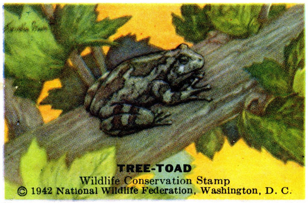 1942 Tree Toad Stamp