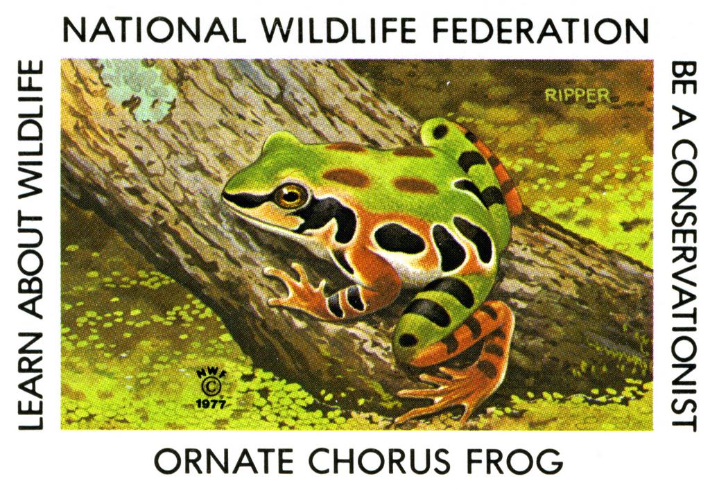 1977 Ornate Chorus Frog Stamp