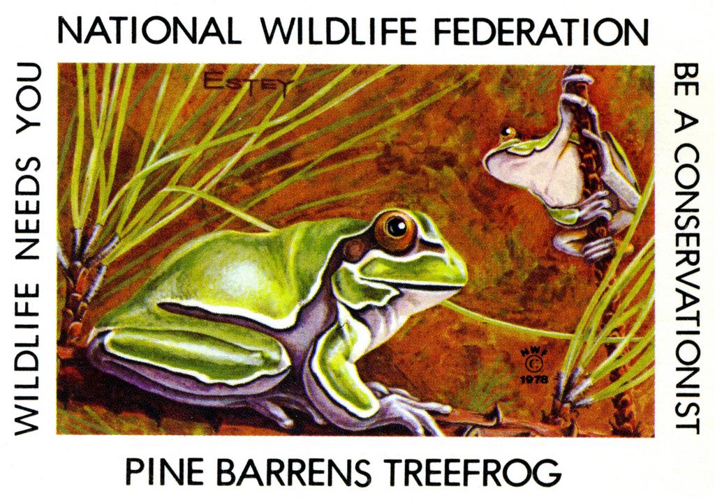 1978 Pine Barrens Treefrog Stamp