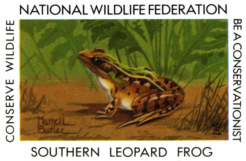 1984 Southern Leopard Frog Stamp