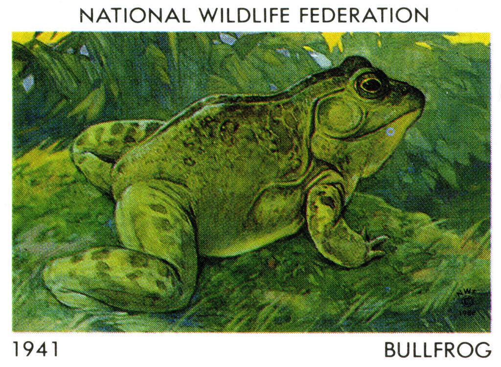 1988 Bullfrog Stamp