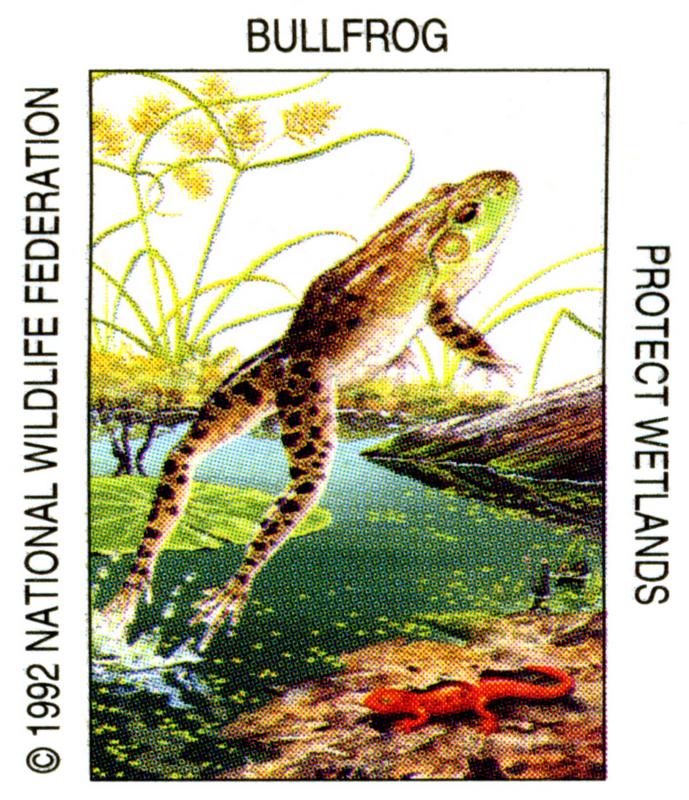 1992 Bullfrog Stamp