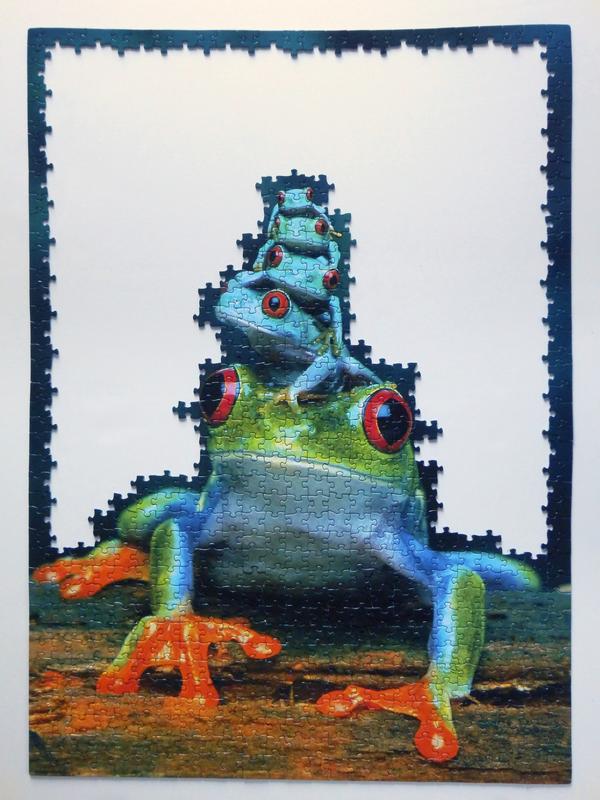 incomplete frog puzzle