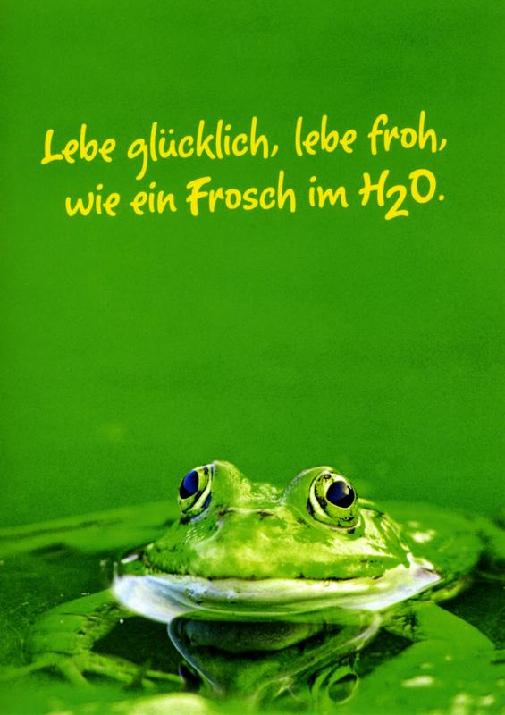 joyful frog postcard