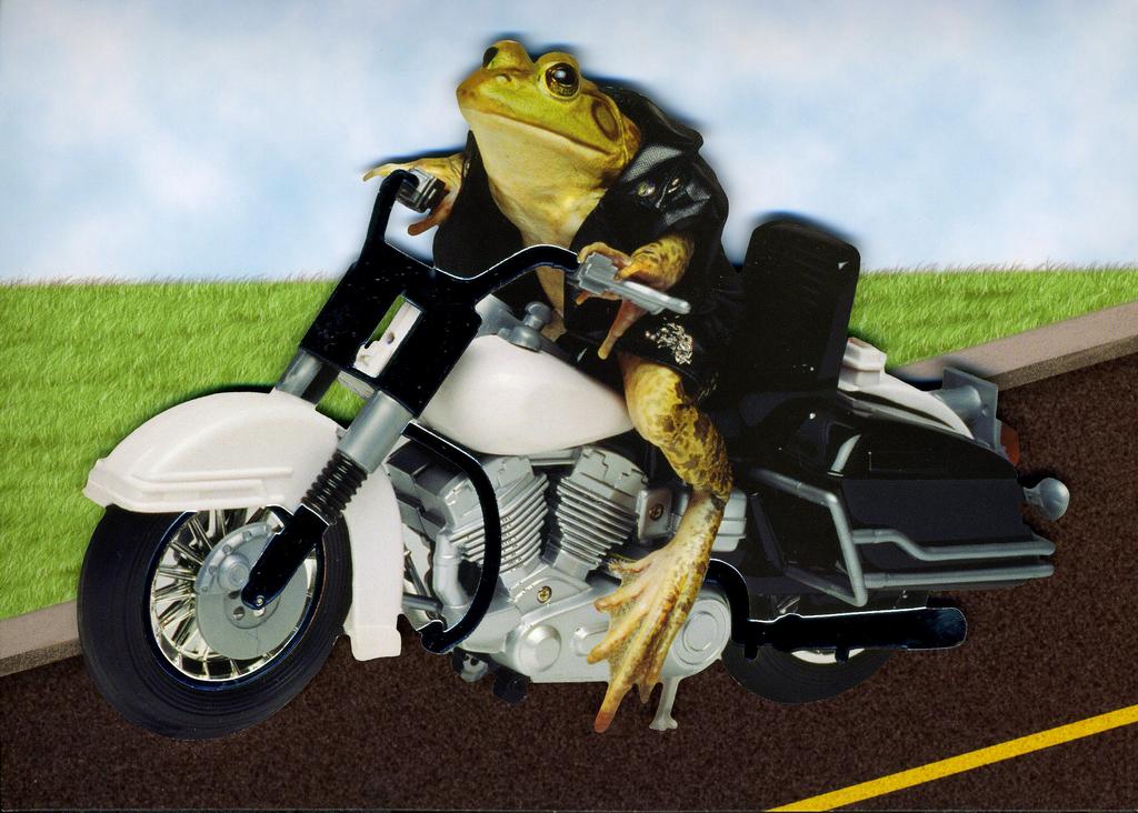 frog-on-a-motorcycle birthday card