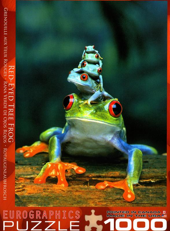 frog puzzle