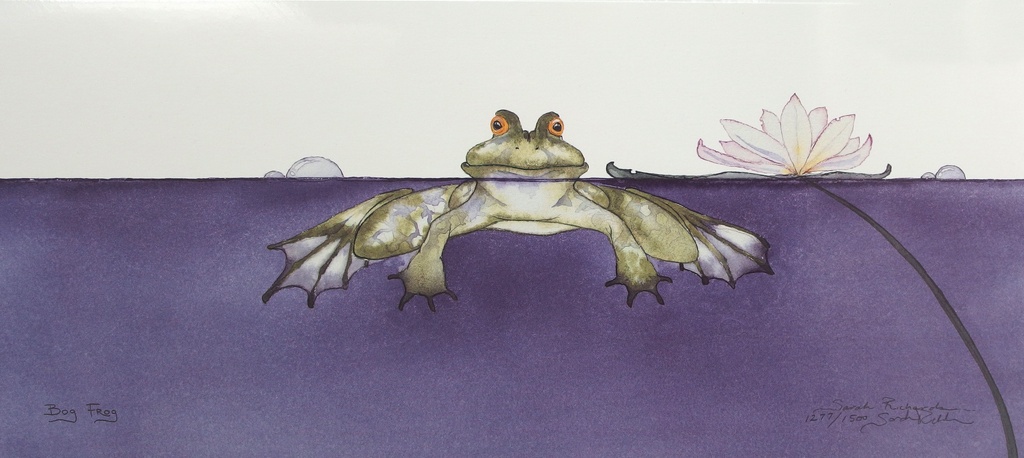 bog frog painting