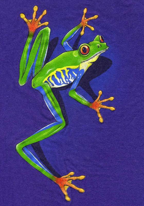 frog T-shirt design