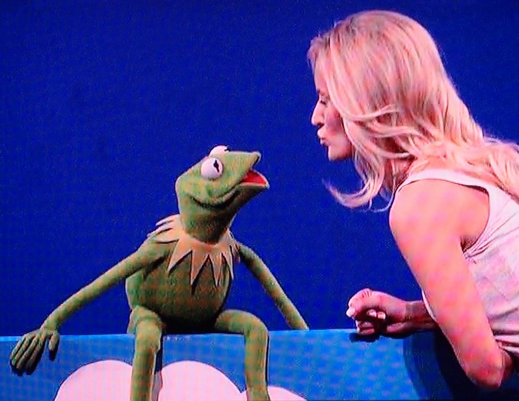 Kermit on TV