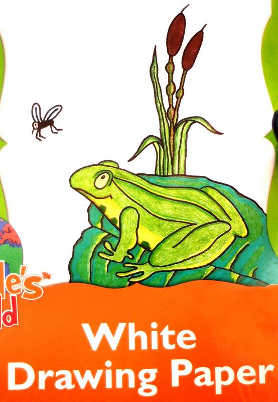 frog drawing paper