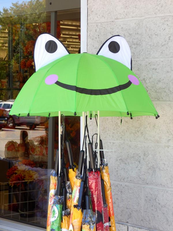 frog umbrella