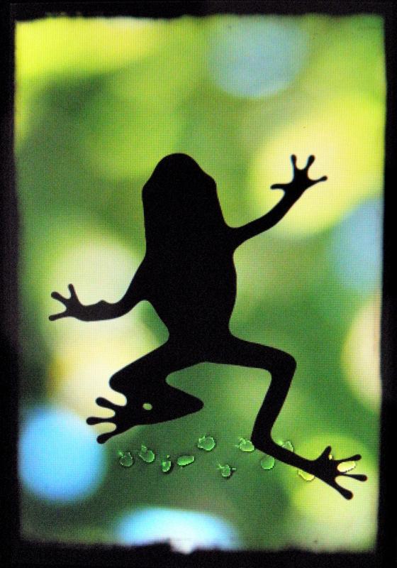 Ancient Frog Junior screen