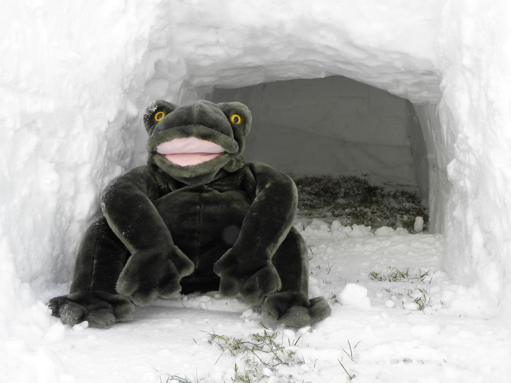 big stuffed frog at an igloo