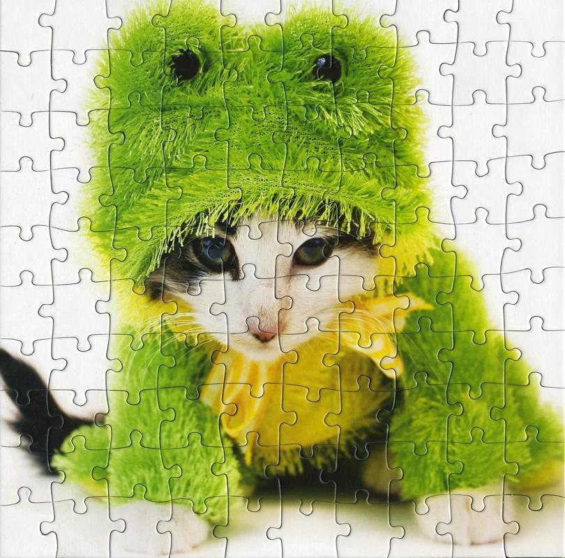 cat-as-frog puzzle