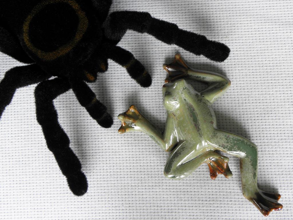 ceramic frog and toy spider