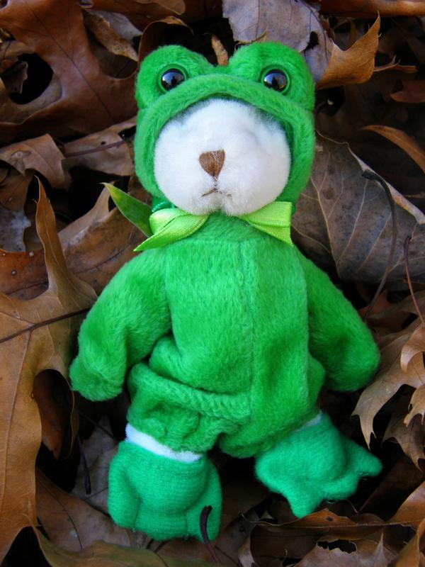 bear in a frog suit