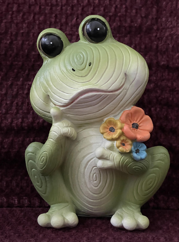 flowers frog