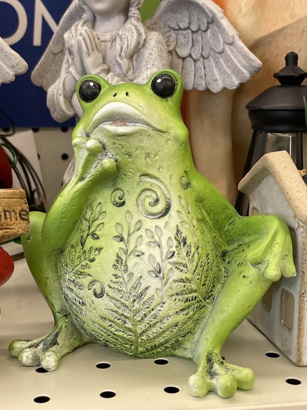 thoughtful frog